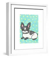 Boston Terrier-My Zoetrope-Framed Giclee Print