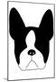 Boston Terrier-null-Mounted Poster