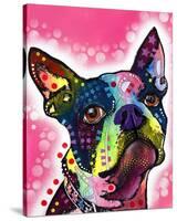 Boston Terrier-Dean Russo-Stretched Canvas