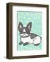 Boston Terrier-My Zoetrope-Framed Art Print