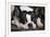 Boston Terrier-null-Framed Photographic Print