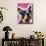 Boston Terrier-Dean Russo-Mounted Premium Giclee Print displayed on a wall