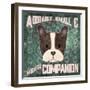 Boston Terrier-Ashley Sta Teresa-Framed Art Print