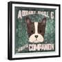 Boston Terrier-Ashley Sta Teresa-Framed Art Print