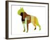 Boston Terrier-NaxArt-Framed Art Print