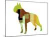 Boston Terrier-NaxArt-Mounted Art Print