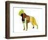 Boston Terrier-NaxArt-Framed Art Print