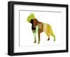 Boston Terrier-NaxArt-Framed Art Print