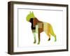 Boston Terrier-NaxArt-Framed Art Print