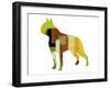 Boston Terrier-NaxArt-Framed Art Print