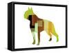 Boston Terrier-NaxArt-Framed Stretched Canvas
