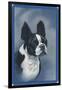 Boston Terrier-null-Framed Art Print