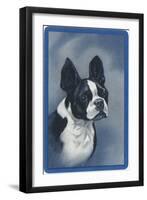 Boston Terrier-null-Framed Art Print