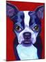 Boston Terrier-Corina St. Martin-Mounted Giclee Print