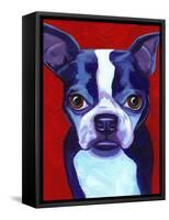 Boston Terrier-Corina St. Martin-Framed Stretched Canvas