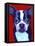 Boston Terrier-Corina St. Martin-Framed Stretched Canvas