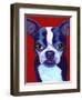 Boston Terrier-Corina St. Martin-Framed Premium Giclee Print