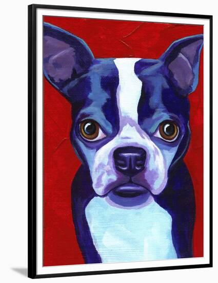 Boston Terrier-Corina St. Martin-Framed Premium Giclee Print