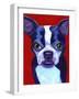 Boston Terrier-Corina St. Martin-Framed Giclee Print