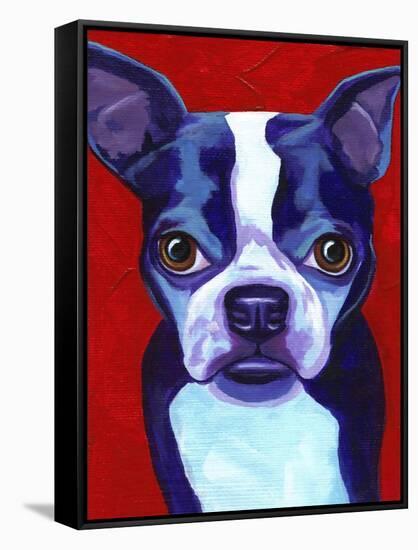 Boston Terrier-Corina St. Martin-Framed Stretched Canvas