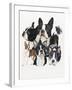 Boston Terrier-Barbara Keith-Framed Giclee Print