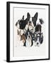 Boston Terrier-Barbara Keith-Framed Giclee Print