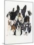 Boston Terrier-Barbara Keith-Mounted Giclee Print