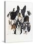 Boston Terrier-Barbara Keith-Stretched Canvas