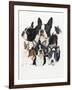 Boston Terrier-Barbara Keith-Framed Giclee Print