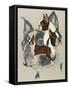 Boston Terrier-Barbara Keith-Framed Stretched Canvas