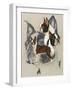 Boston Terrier-Barbara Keith-Framed Giclee Print