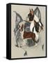 Boston Terrier-Barbara Keith-Framed Stretched Canvas