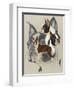 Boston Terrier-Barbara Keith-Framed Giclee Print