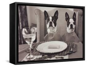 Boston Terriers Dining-Theo Westenberger-Framed Stretched Canvas