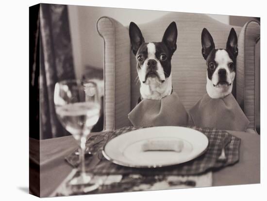 Boston Terriers Dining-Theo Westenberger-Stretched Canvas