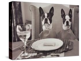 Boston Terriers Dining-Theo Westenberger-Stretched Canvas