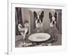 Boston Terriers Dining-Theo Westenberger-Framed Art Print