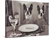 Boston Terriers Dining-Theo Westenberger-Stretched Canvas