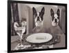 Boston Terriers Dining-Theo Westenberger-Framed Art Print