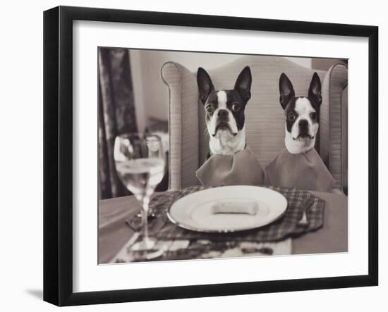 Boston Terriers Dining-Theo Westenberger-Framed Art Print