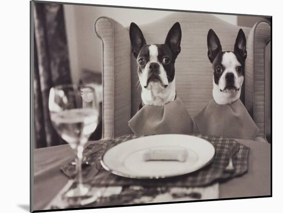 Boston Terriers Dining-Theo Westenberger-Mounted Art Print