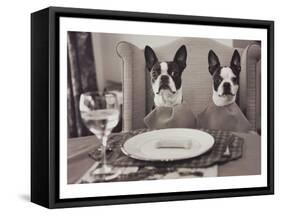 Boston Terriers Dining-Theo Westenberger-Framed Stretched Canvas