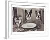 Boston Terriers Dining-Theo Westenberger-Framed Art Print