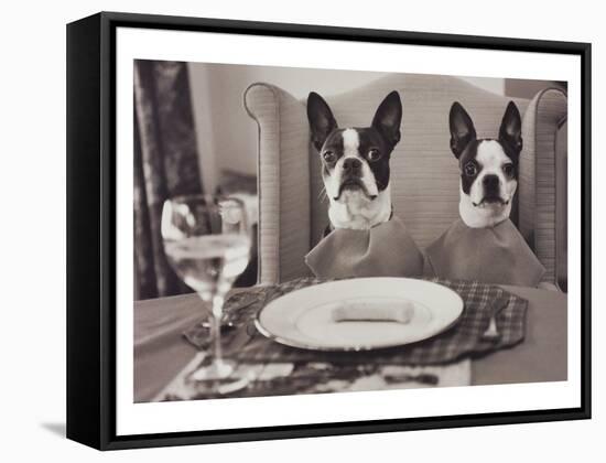 Boston Terriers Dining-Theo Westenberger-Framed Stretched Canvas