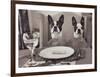 Boston Terriers Dining-Theo Westenberger-Framed Art Print