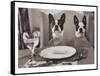 Boston Terriers Dining-Theo Westenberger-Framed Stretched Canvas