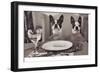 Boston Terriers Dining-Theo Westenberger-Framed Art Print