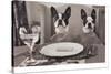 Boston Terriers Dining-Theo Westenberger-Stretched Canvas