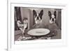 Boston Terriers Dining-Theo Westenberger-Framed Art Print