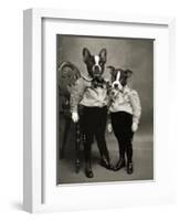 Boston Terriers-J Hovenstine Studios-Framed Giclee Print